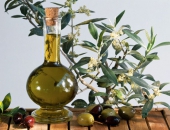 Dầu Olive