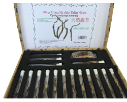 Đông Trùng Hạ Thảo Thiên Nhiên hộp 16 ống 10 gam